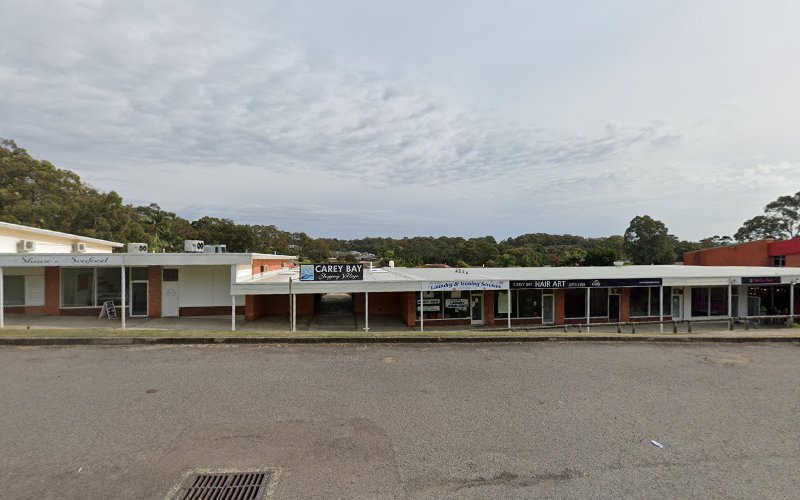 Dry cleaner in Carey Bay